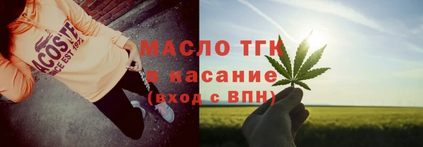 прущие грибы Переславль-Залесский