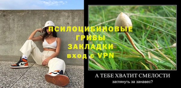 прущие грибы Переславль-Залесский