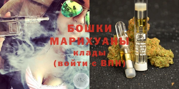 прущие грибы Переславль-Залесский