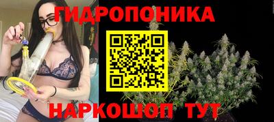 первитин Будённовск