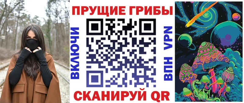 Псилоцибиновые грибы Cubensis  купить закладку  Сертолово 