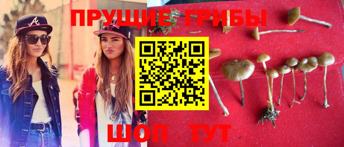 Канабис  Меф МЯУ МЯУ кристаллы  ГАШИШ  Марихуана  ГАШИШ  Сертолово  Codein  Мефедрон кристаллы  КОКАИН 