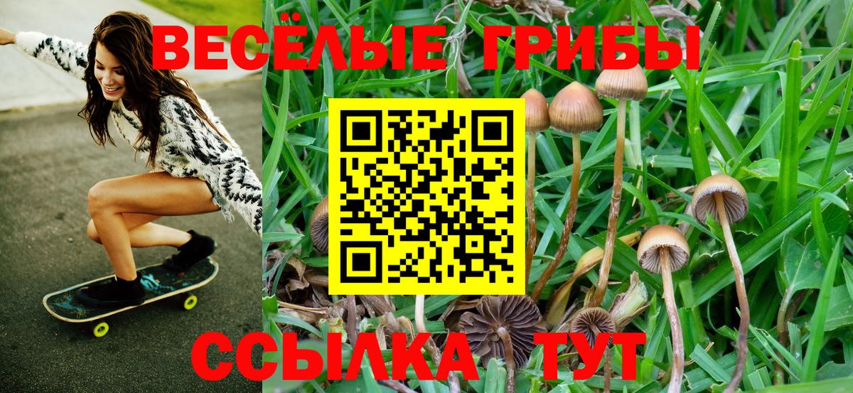 Псилоцибиновые грибы MAGIC MUSHROOMS  Галлюциногенные грибы Cubensis  Сертолово 