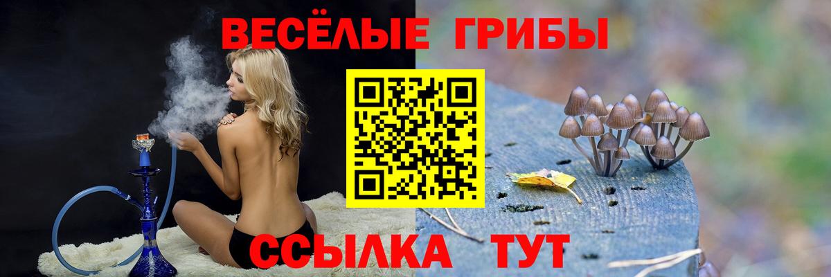 Molly  НБОМе  Сертолово  МЕФ  Гашиш  Вход с VPN  COCAIN 