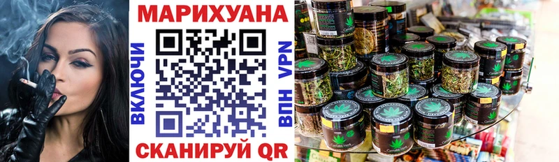 Конопля гибрид  Сертолово 